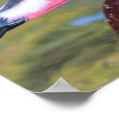 Colorful Wood Duck sluit af Poster (Hoek)