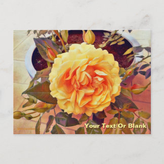 Colorful Yellow Rose Briefkaart