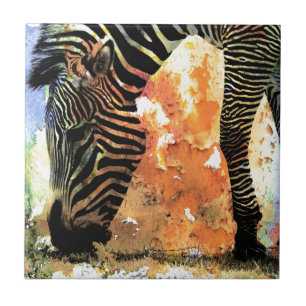 Colorful Zebra Grunge Tegeltje