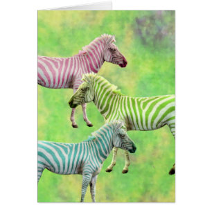 Colorful Zebras