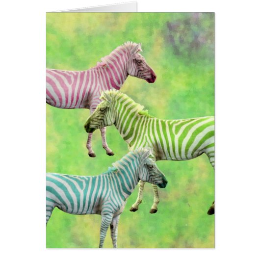 Colorful Zebras (Voorkant)