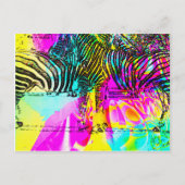 Colorful Zebras Briefkaart (Voorkant)