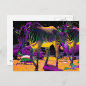 Colorful Zebras Briefkaart (Voorkant / Achterkant)