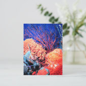 Colorful Zee Sponge Briefkaart (Staand voorkant)