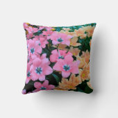 Colorfull Kussen (Achterkant)