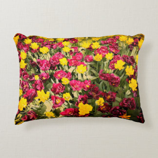 Colorfull pillow accent kussen