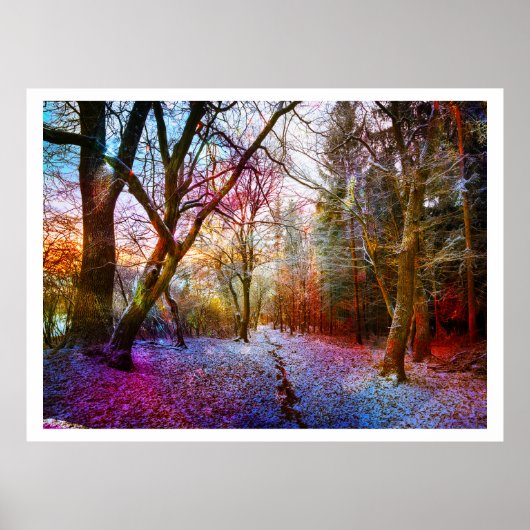 Colorized Forest Winter Landscape Poster (Voorkant)