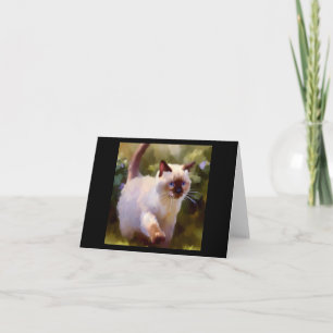 Colorpoint Shorthair Cat Kaart