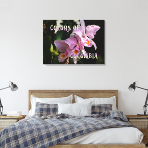 Colors of Colombia Cattleya Orchid Canvas Afdruk