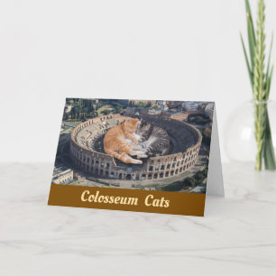 Colosseum Cats Kaart