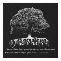 Colossians 2:7 Roost in Jezus