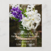 Colossie 1:3 Hyacinth Carte postale (Devant)