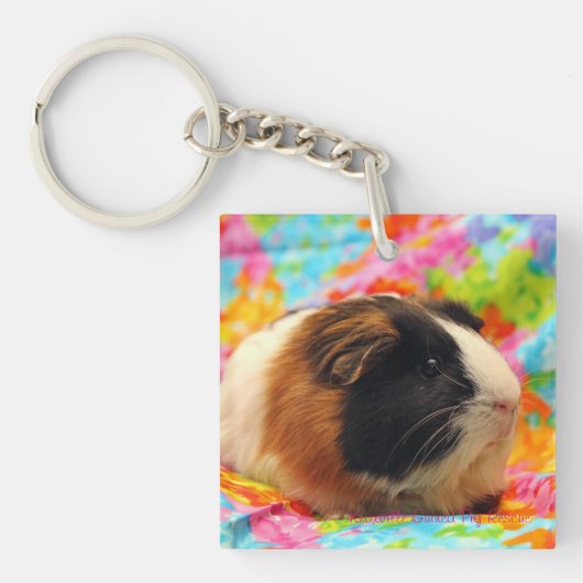 Colour Burst Guinee Pig Sleutelhanger (voorkant)