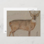 Colour Deer Briefkaart (Voorkant / Achterkant)