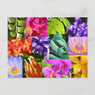 Colour Me Happy Briefkaart