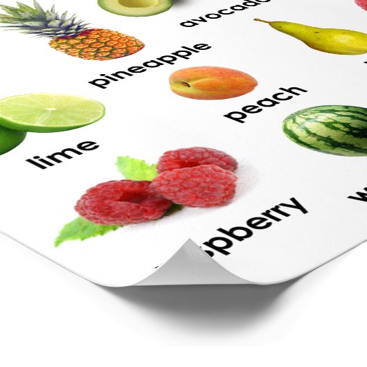 Colourful Variety Fruits Poster (Coin)