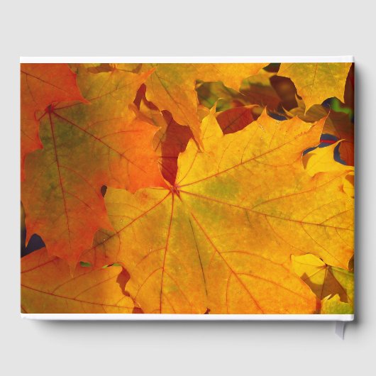 Colours d'automne Mariage livre d'hôtes (Verso)