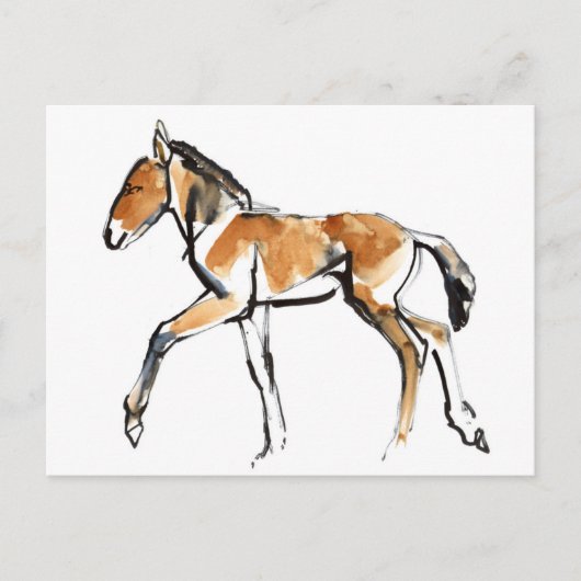 Colt Briefkaart (Voorkant)