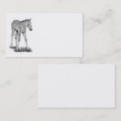 Colt, cheval : Art de crayon de carte de visite : (Devant / Derrière)
