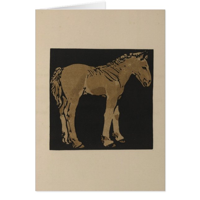 Colt debout (Devant)