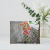 COLTON, C.A., CARTE POSTALE (Debout devant)