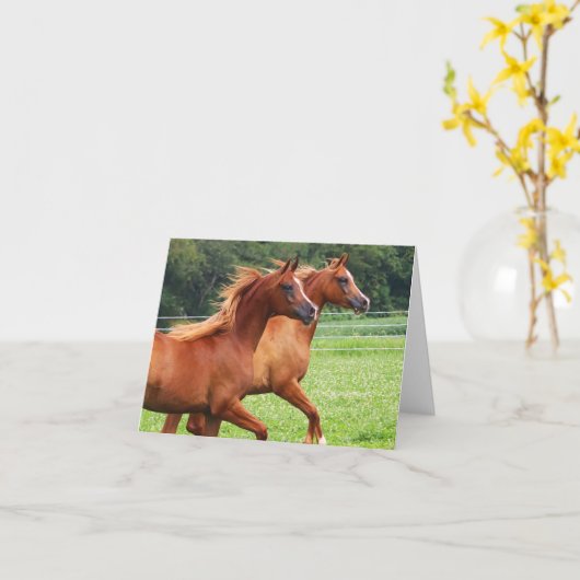 COLTS BOGO - Carte de note blanche (Fleur jaune)