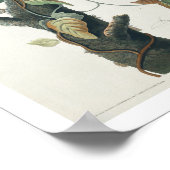 Columbia Jay par Audubon Poster (Coin)