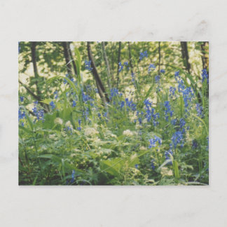 Columbia River Gorge Briefkaart