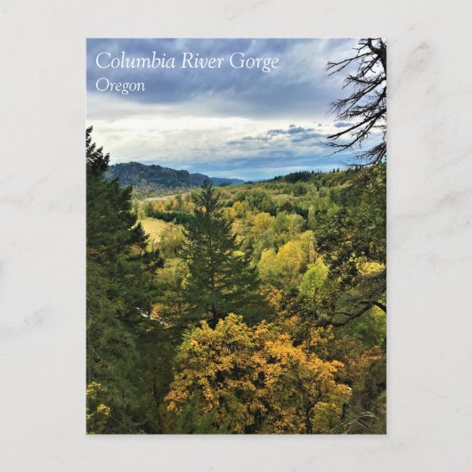 Columbia River Gorge, carte postale de l'Oregon (Devant)