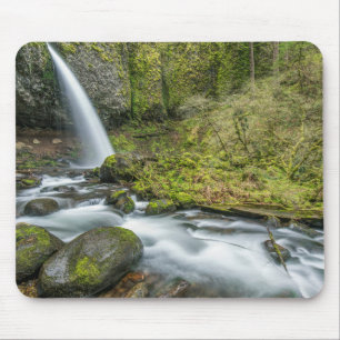 Columbia River Gorge, Ponytail Falls Muismat