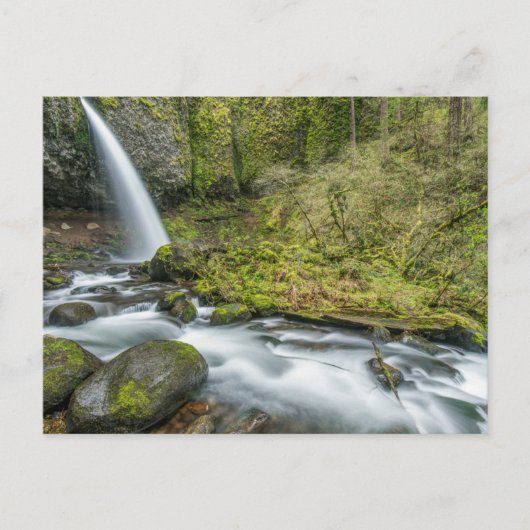 Columbia River Gorge, Ponytail Herfsten Briefkaart (Voorkant)