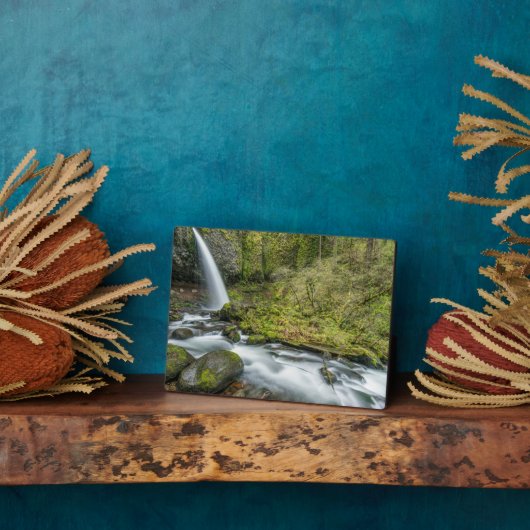 Columbia River Gorge, Ponytail Herfsten Fotoplaat (Zijkant)