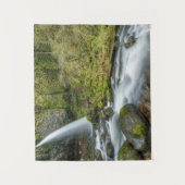 Columbia River Gorge, Ponytail Herfsten Wandkleed (Voorkant)