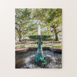 Columbia Square Savannah Puzzle Legpuzzel