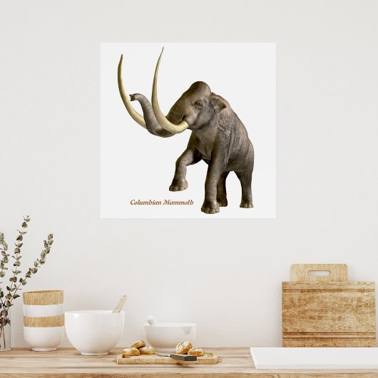 Columbiaanse Mammoth Print (Keuken)