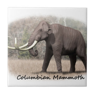 Columbiaanse Mammoth Tegeltje