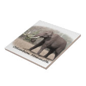 Columbiaanse Mammoth Tegeltje (Zijkant)
