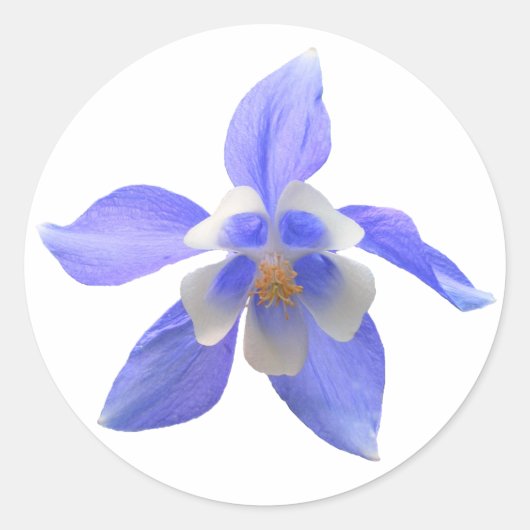 Columbine 158 ~ sticker (Voorkant)