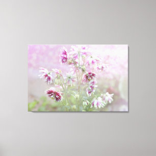 Columbine Beauty Canvas Afdruk