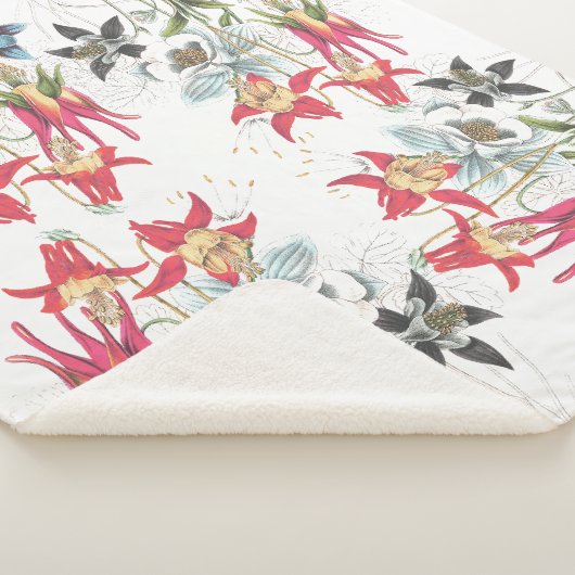 Columbine botanique fleurit la couverture de (3/4)