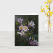 Columbine fleurit la carte de note (Fleur jaune)