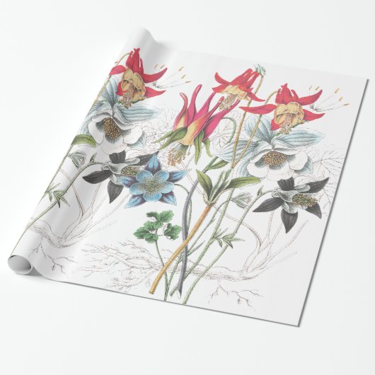 Columbine Flowers Wrapping Paper Cadeaupapier (Uitgerold)