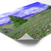 Columbine Hill Poster (Hoek)