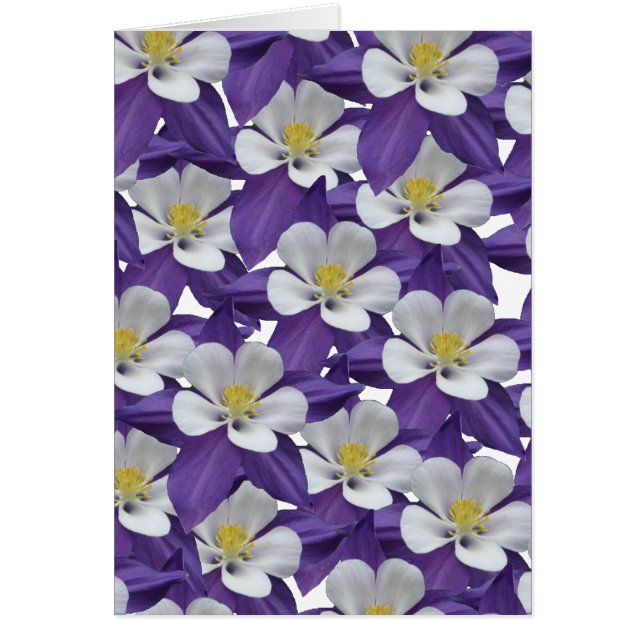 Columbine Purple et White Flower Card (Devant)
