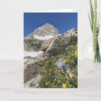 Columbine sous la carte Paiute Peak