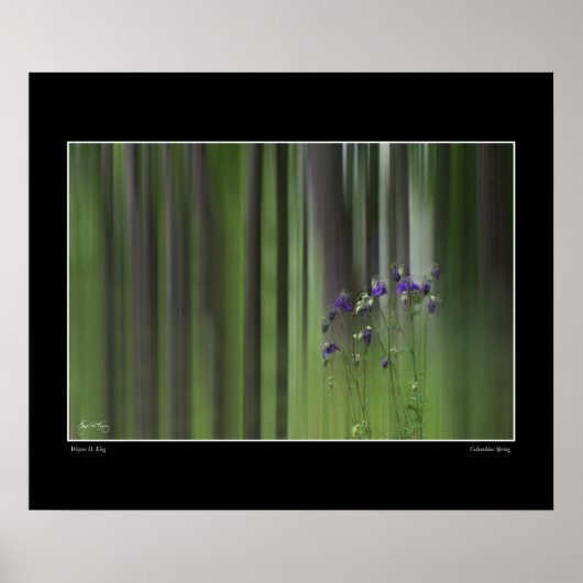 Columbine Spring Poster (Voorkant)