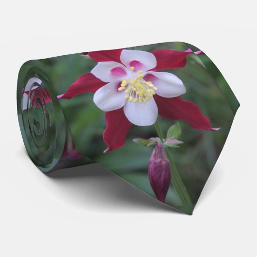 Columbine Stropdas (Opgerold)