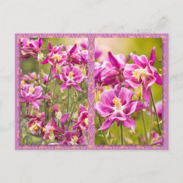Columbines Diptych Briefkaart