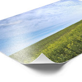 Colza Field - Photo (Coin)