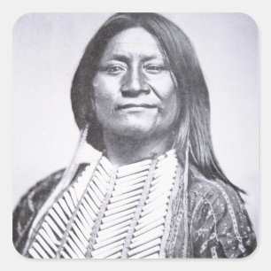 Comanche Tribesman, 1872 (foto) Vierkante Sticker